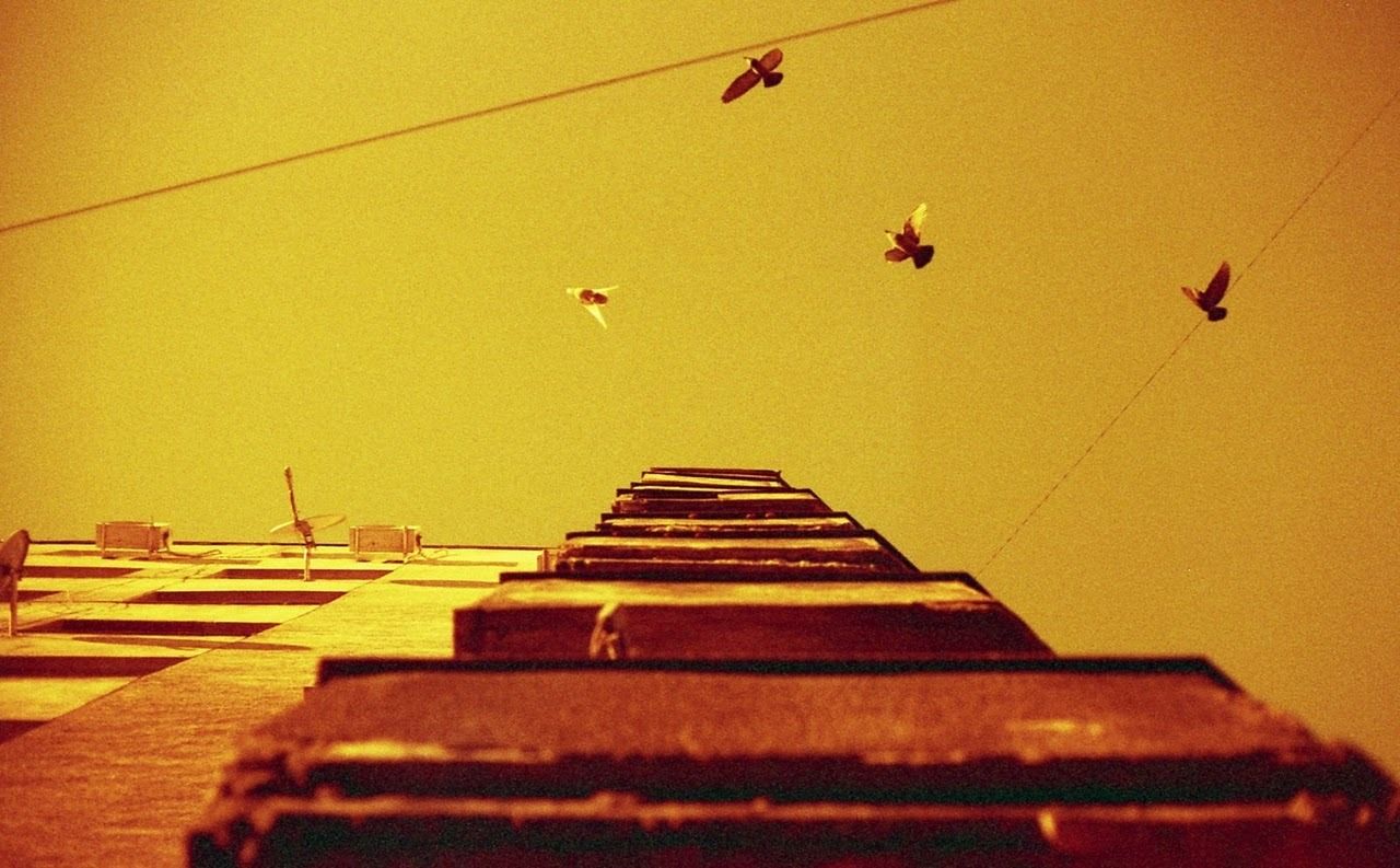 A view to kill