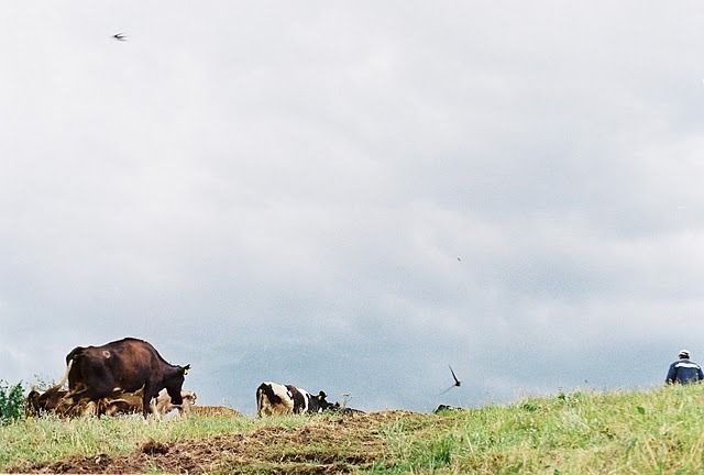 Rural