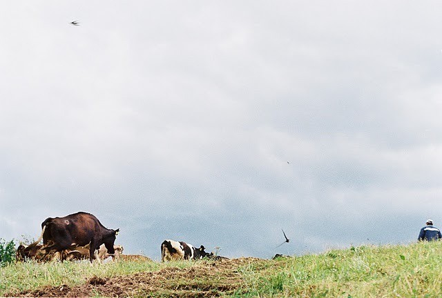 Rural