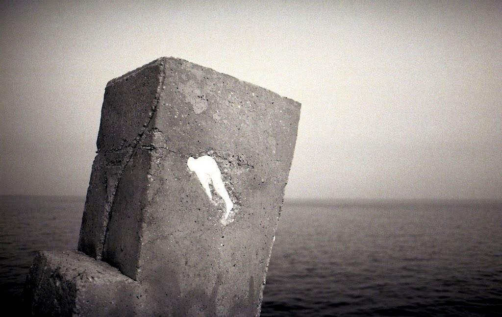 "The dive (part 2)"