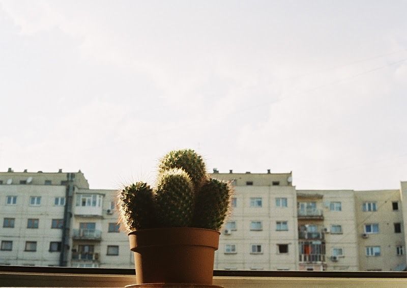 The spirit molecule